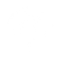 Northern Monk